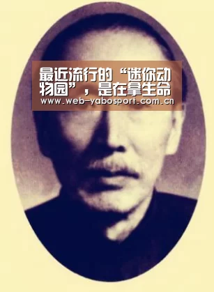 最近流行的“迷你动物园”,是在拿生命骗钱_亚博(图1) 亚博体育