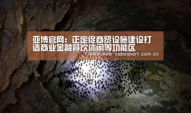 亚博官网:正定促商贸设施建设打造商业金融餐饮休闲等功能区(图2) 亚博体育