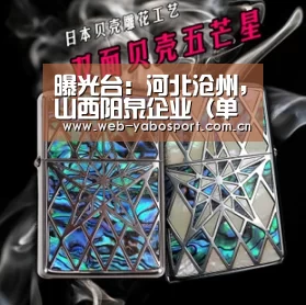 曝光台:河北沧州,山西阳泉企业(单位)存环境问题|亚博(图1) 亚博官网